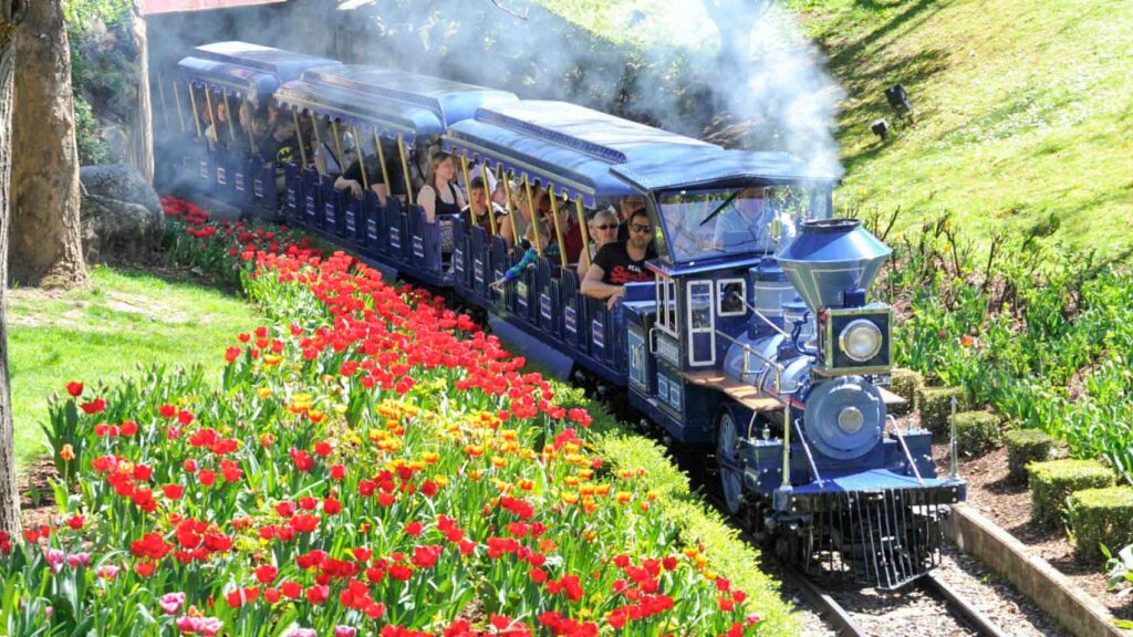 Panorama Train Returns to Europa-Park