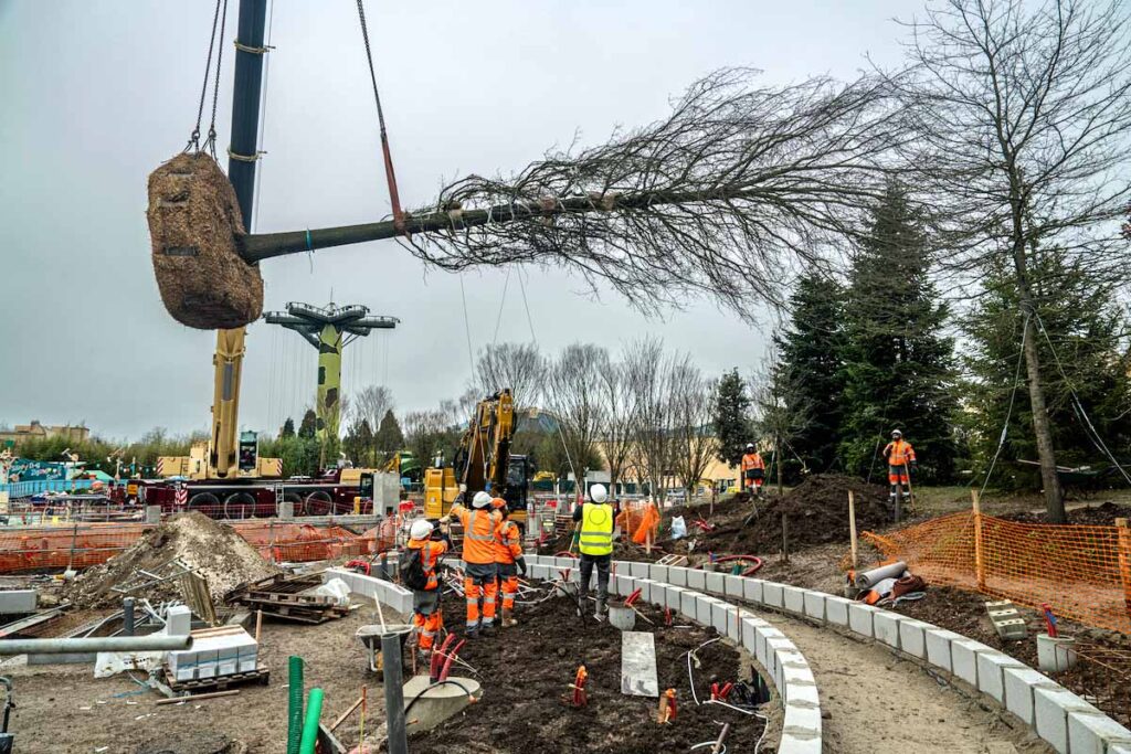 Disneyland Paris’ New Adventure Way Gain’s a 16-Meter-Tall Tree