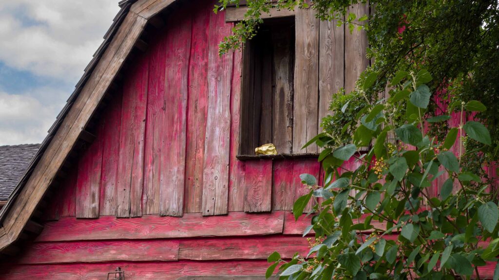 Disneyland Paris Launches New Treasure Hunt Experiences in Frontierland and Adventureland