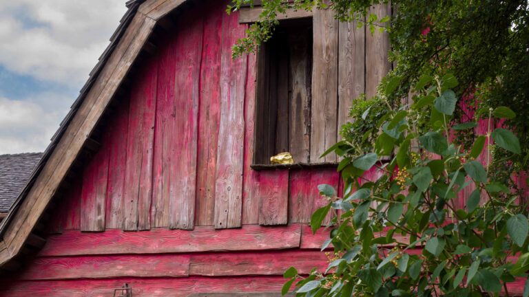 Disneyland Paris Launches New Treasure Hunt Experiences in Frontierland and Adventureland