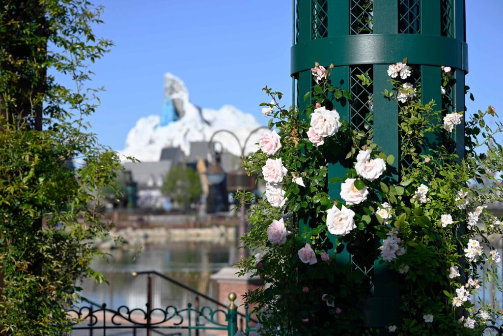 Disneyland Paris’s Big Landscaping Strategy
