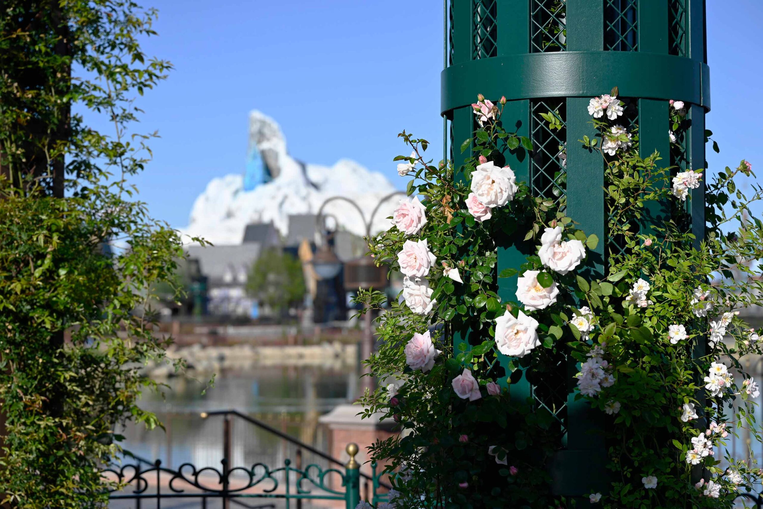 Disneyland Paris’s Big Landscaping Strategy